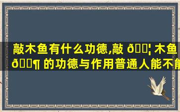 敲木鱼有什么功德,敲 🐦 木鱼 🐶 的功德与作用普通人能不能敲
